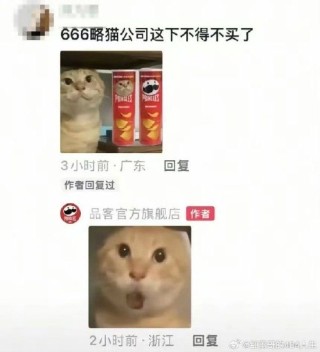 品客薯片视频被指玩虐猫梗，公司回应：不知这个梗，视频已删