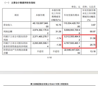赛力斯港股上市后总市值接近2800亿港元，成为年内港股最大车企IPO