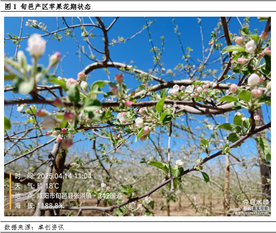 【花期调研】低温、大风或增加挂果欠佳的概率  第3张