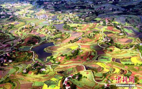 如何了解公积金补贴事宜并合理获取？获取过程中有哪些要点需关注？  第1张