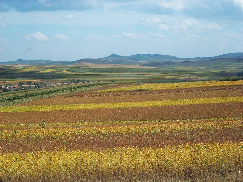 进口大豆通常到什么港口？港口选择对大豆期货有什么影响？  第1张