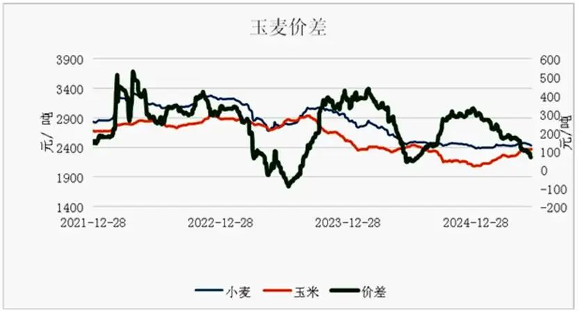 6月步入青黄不接，玉米行情是涨是跌？  第3张