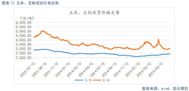 【生猪半年报】供给端持续施压 季节性反弹可期  第14张