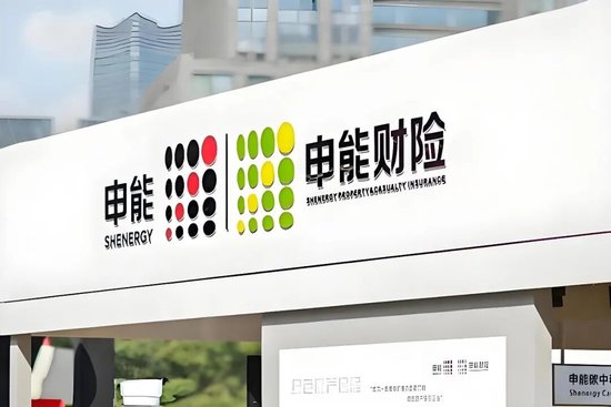 从流拍资产到行业黑马,申能财险4.35亿盈利背后的资本博弈与转型之路 第1张 从流拍资产到行业黑马,申能财险4.35亿盈利背后的资本博弈与转型之路 第1张