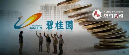 杨惠妍被罚、董事会力挺！碧桂园千亿债务危机解除了吗？  第4张