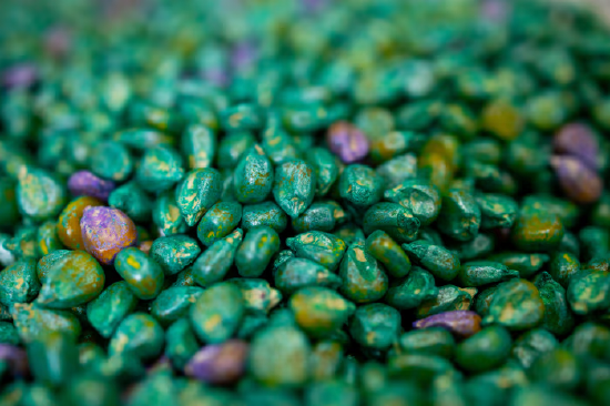 能源危机给一群农业微生物带来“救赎机会” 第3张 能源危机给一群农业微生物带来“救赎机会” 第3张