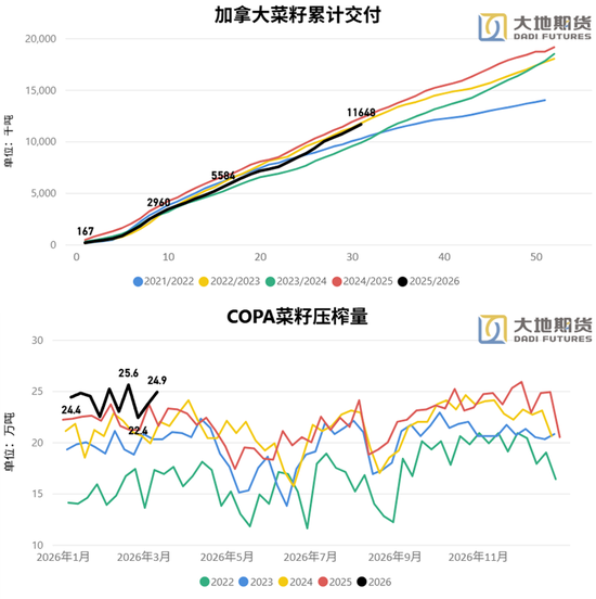 油脂：静待原油托底下的基本面改善  第10张
