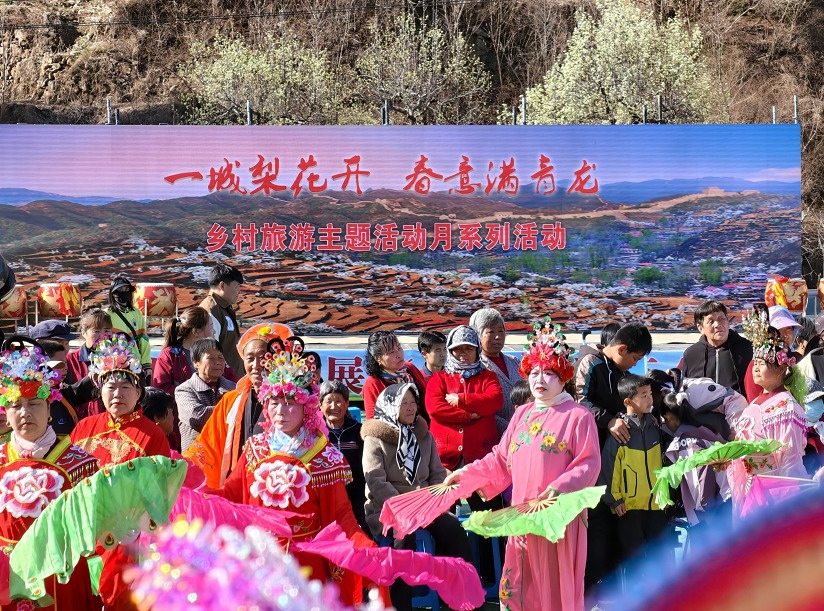 河北青龙：“花事”变“花市” 梨花盛景催生山乡产业新活力  第1张