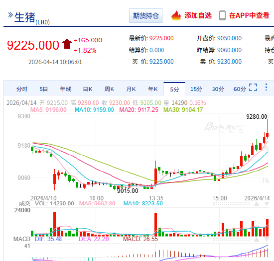 快讯：生猪主力合约日内涨超2.00%，最高触及9280元/吨  第3张